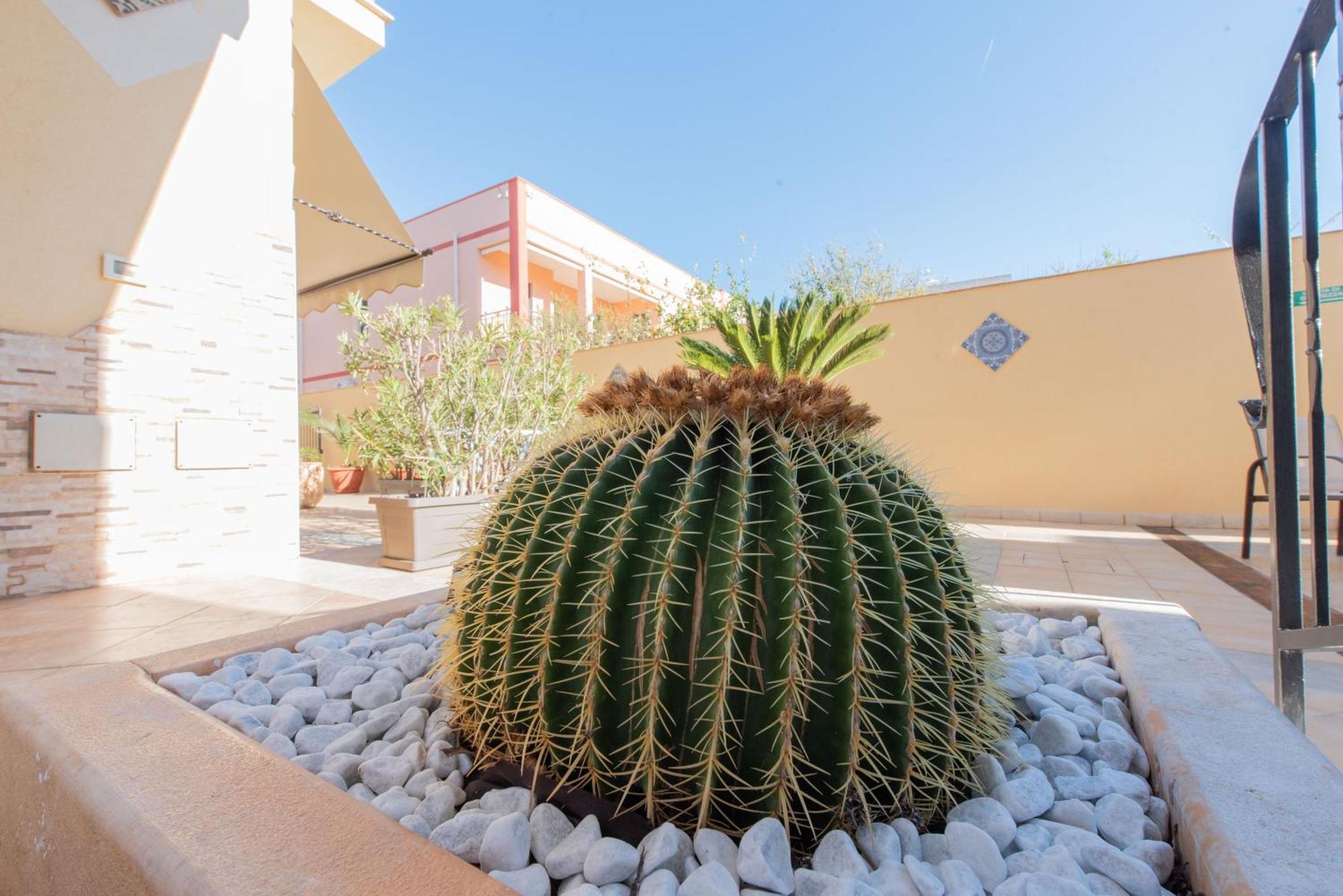Room & Breakfast Aloe San Vito Lo Capo Exterior photo